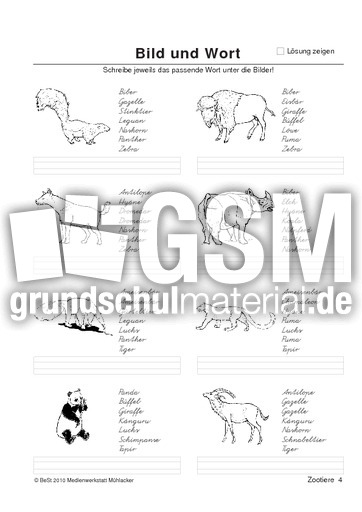 BuW Zootiere4.pdf